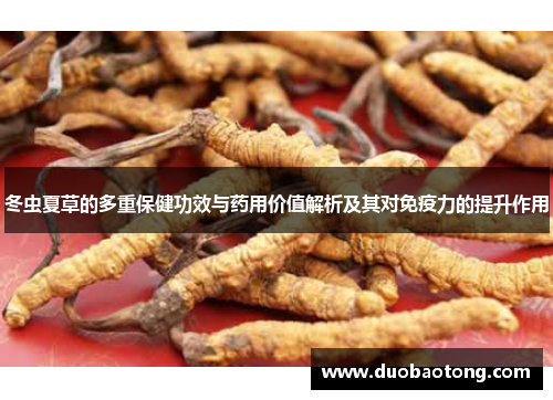 冬虫夏草的多重保健功效与药用价值解析及其对免疫力的提升作用