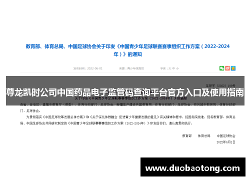 尊龙凯时公司中国药品电子监管码查询平台官方入口及使用指南